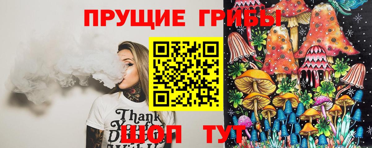 Галлюциногенные грибы Cubensis  Вход с VPN  Кировск 