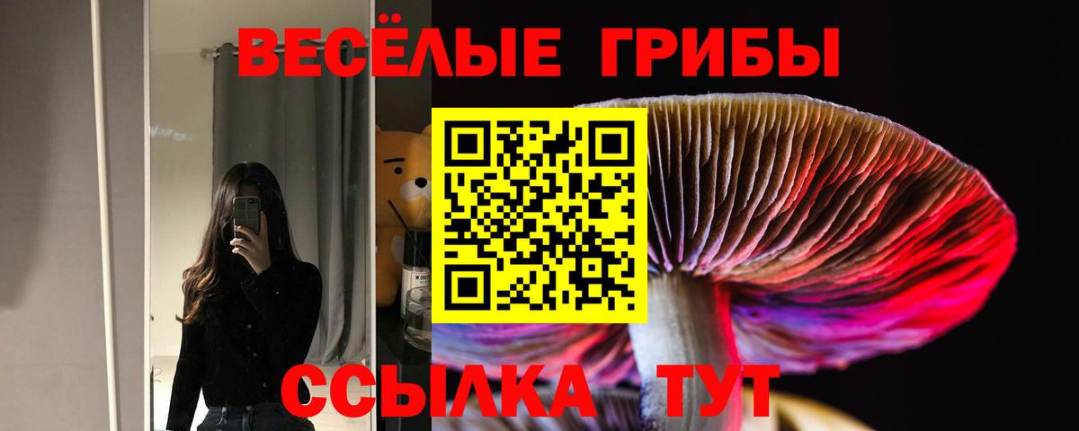 Галлюциногенные грибы Magic Shrooms Кировск